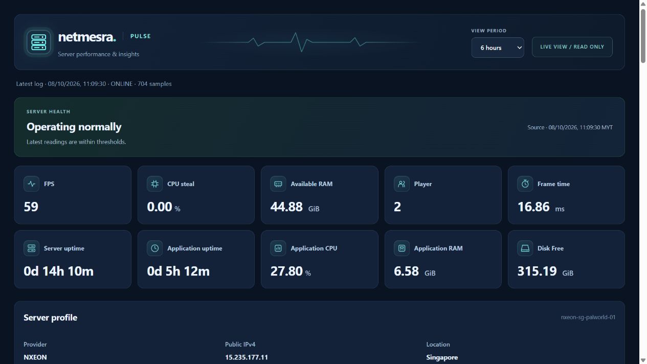 NetMesra Pulse dashboard screenshot showing server health and performance metrics